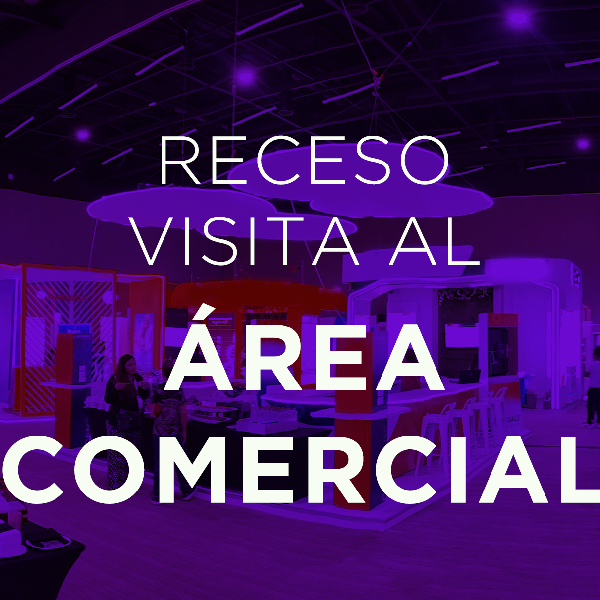 Receso: Visita al Área Comercial.